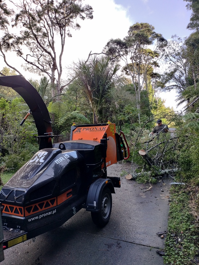 Andrew Tree Services | Arborist working in Auckland