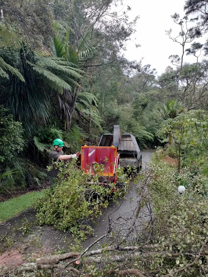 Chipper and crew on site