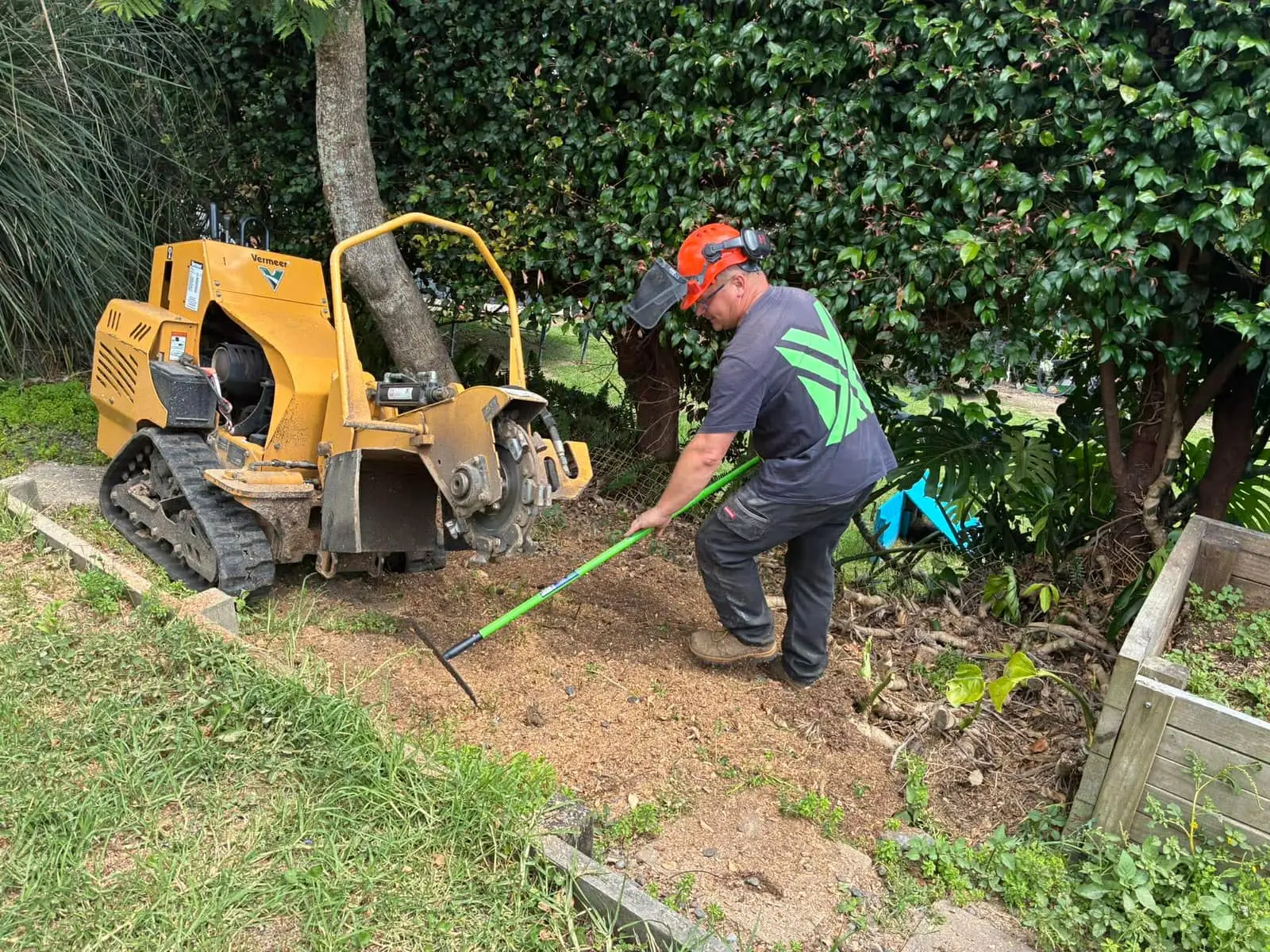 Cleanup after stump grinding
