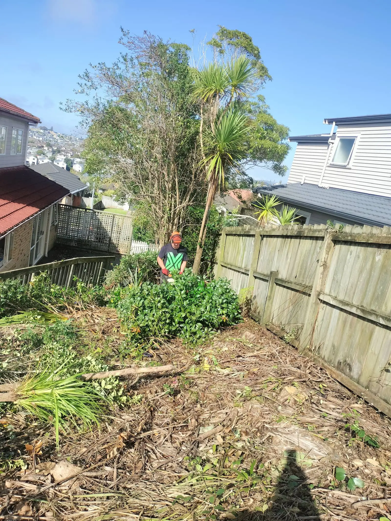 Section clearing between properties