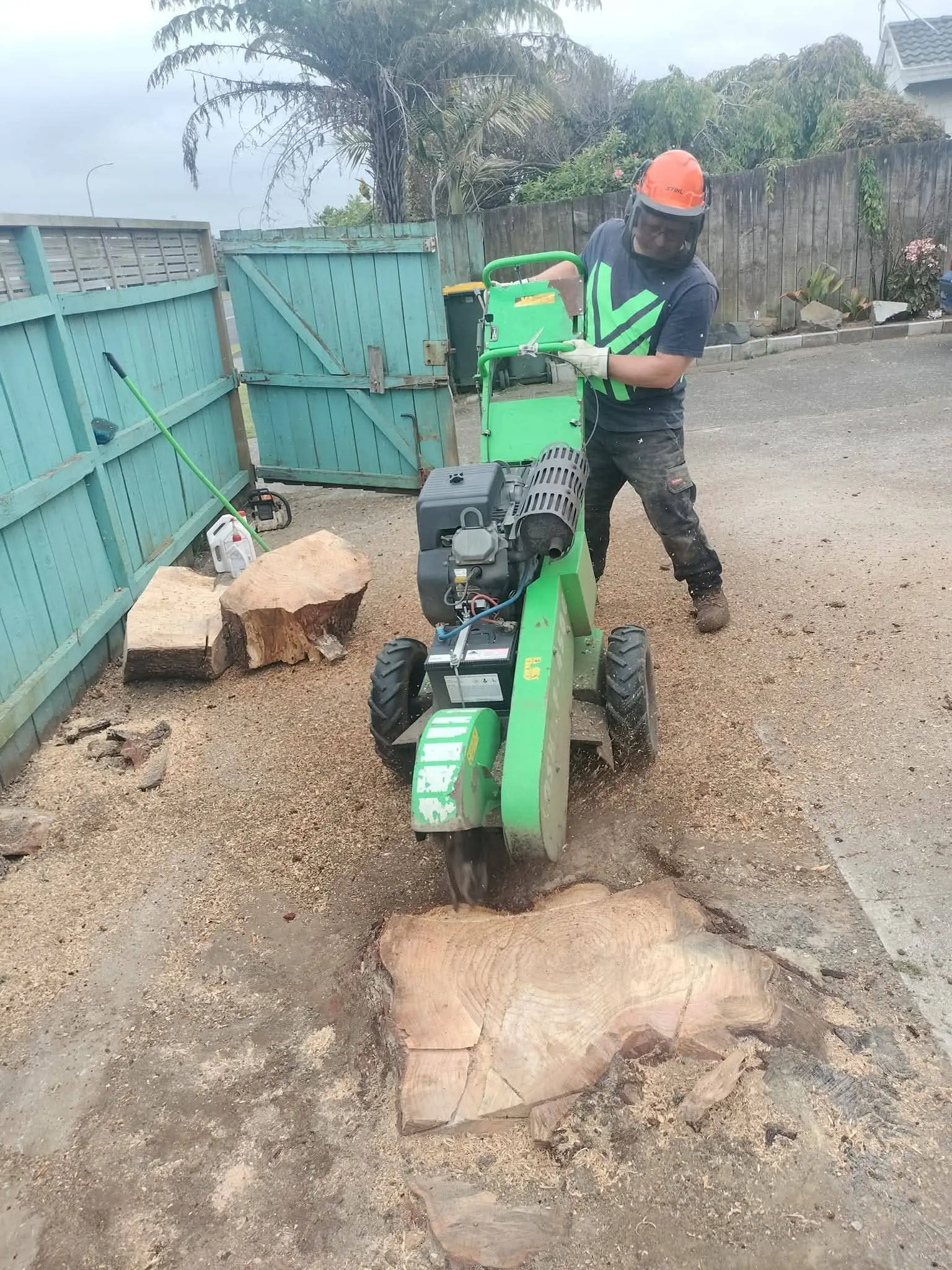 Stump grinding with green grinder