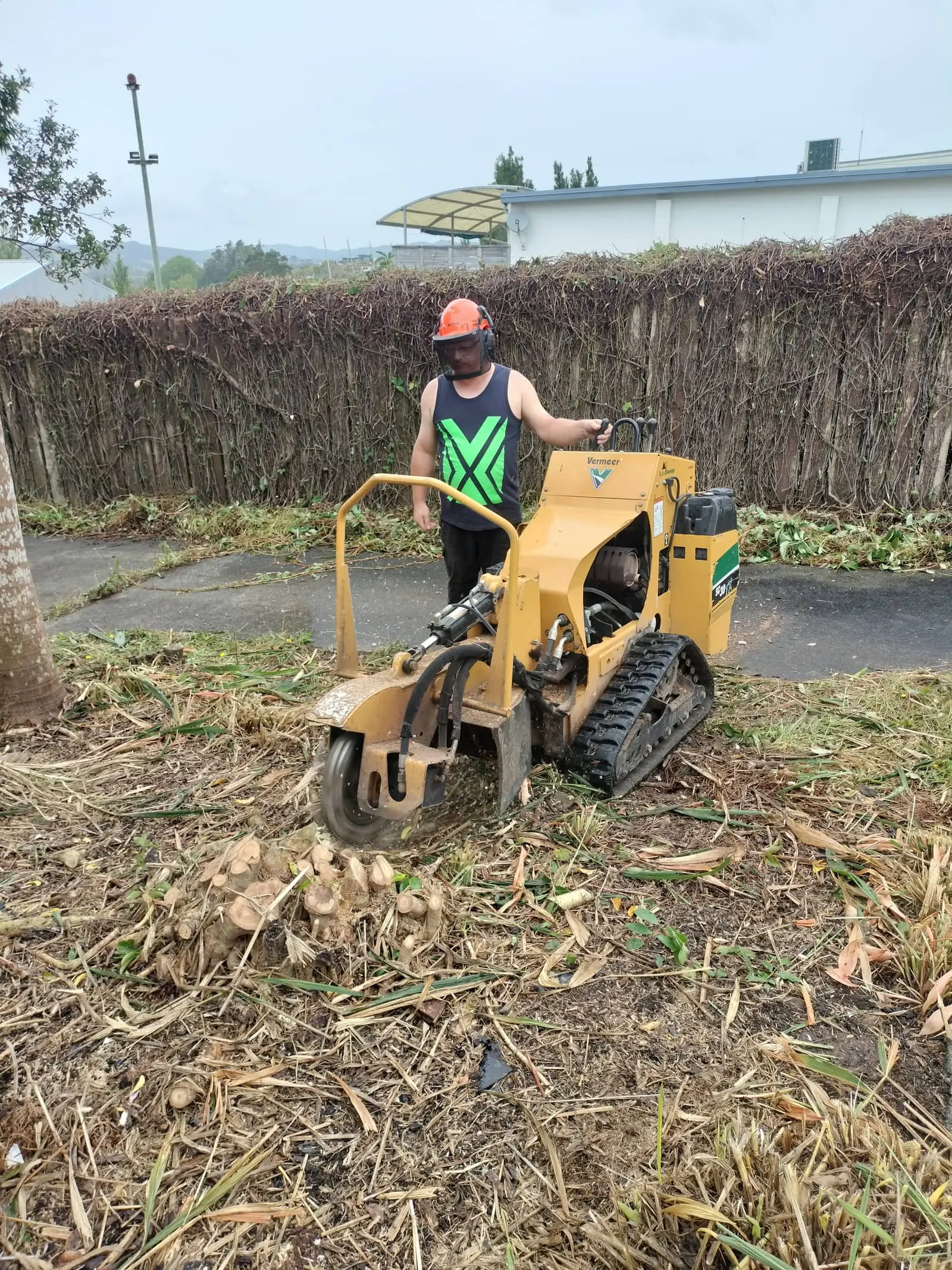 Tracked stump grinder in action