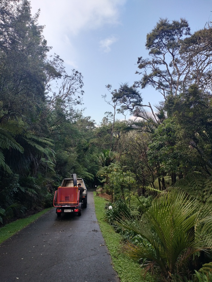 Andrew Tree Services | Professional tree removal services in Auckland